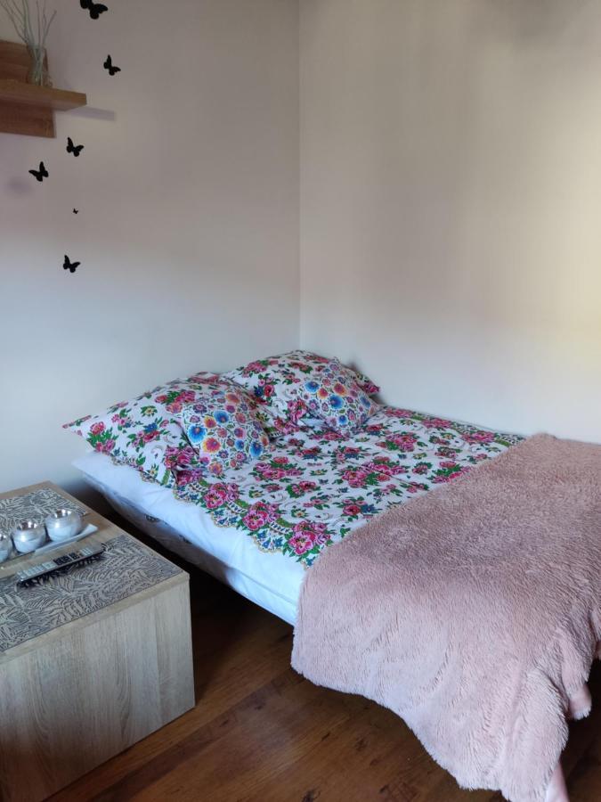 Apartament Widokowy Wiesia Apartament Zakopane